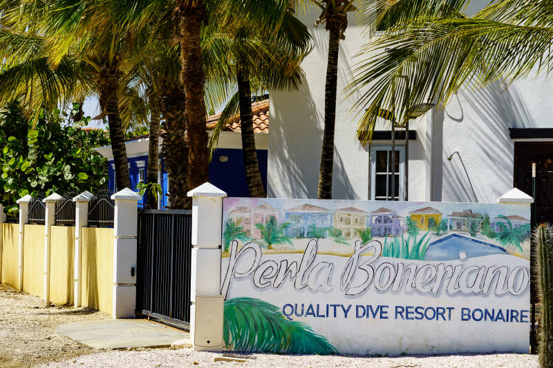 bonaire_2024-127-standard.jpg