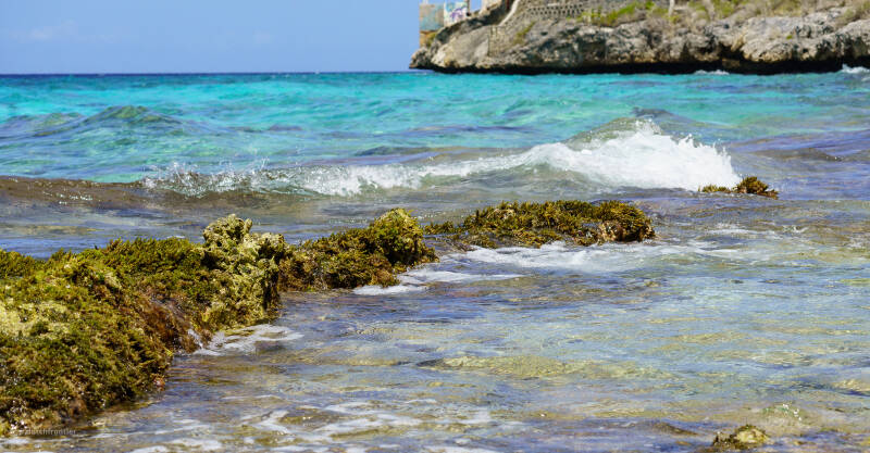 bonaire_2024-148-standard.jpg