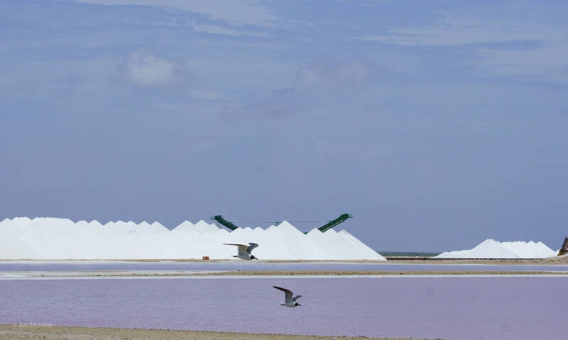 bonaire_2024-189-standard.jpg