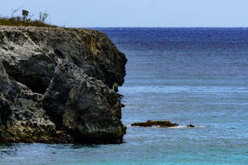 bonaire_2024-226-standard.jpg