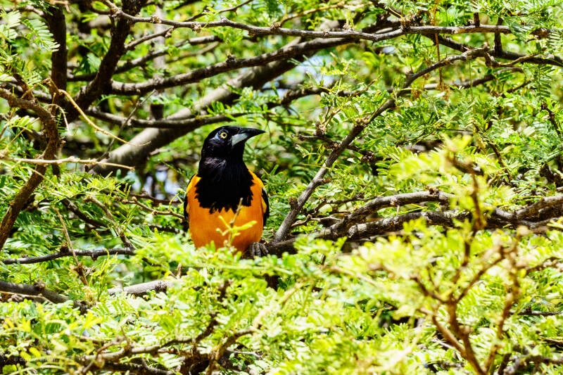bonaire_2024-244-standard.jpg