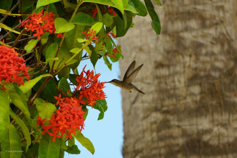 bonaire_2024-269-standard.jpg