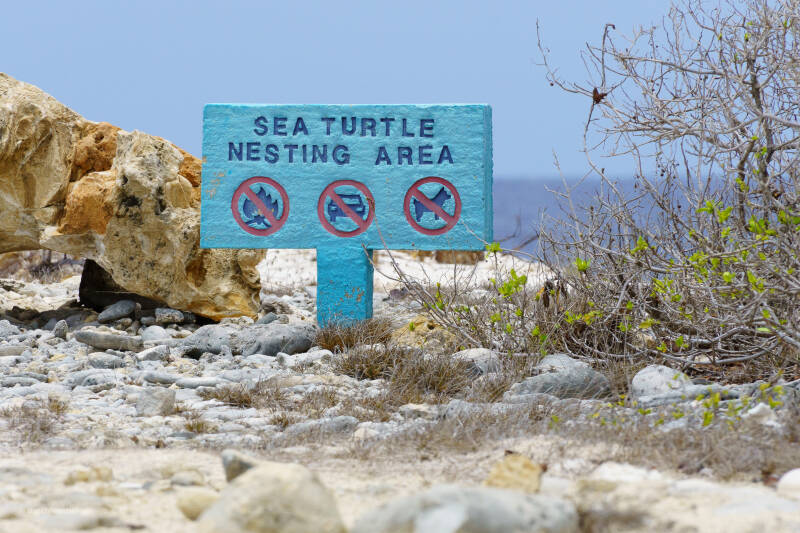 bonaire_2024-288-standard.jpg