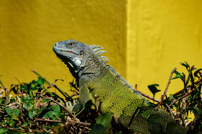 bonaire_2024-32-standard.jpg