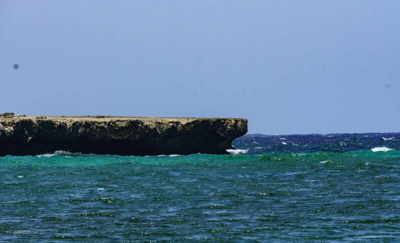 bonaire_2024-333-standard.jpg