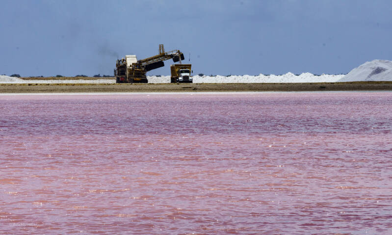 bonaire_2024-56-standard.jpg