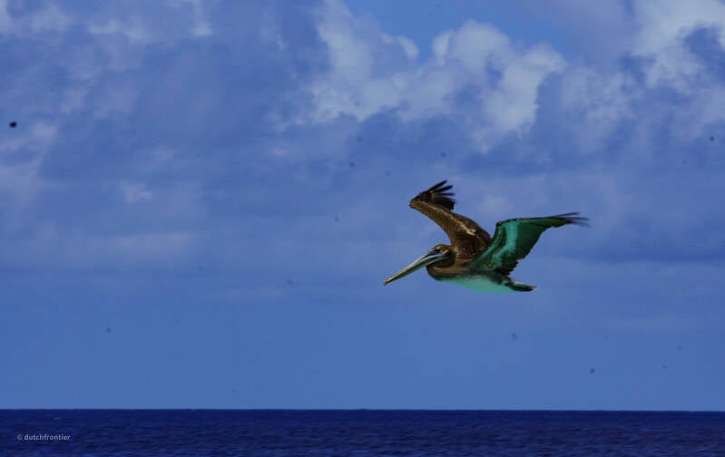 bonaire_2024-59-standard.jpg