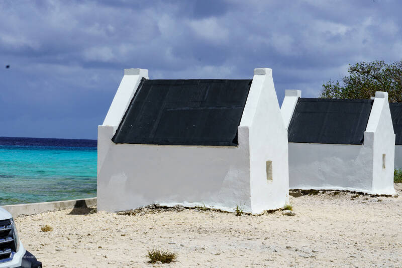 bonaire_2024-64-standard.jpg