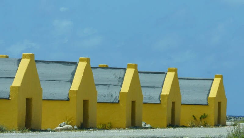 bonaire_2024-66-standard.jpg