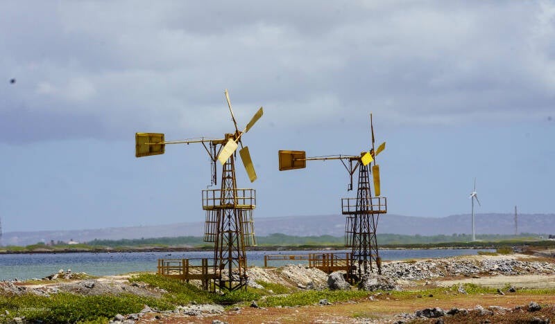 bonaire_2024-71-standard.jpg