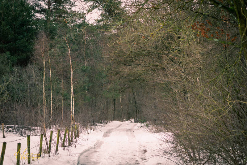 leersumsheveld-12-standard-wodk7q.jpg