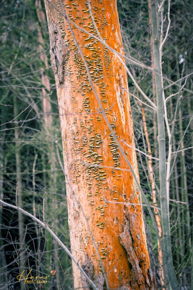 leersumsheveld-18-standard-pvavg2.jpg