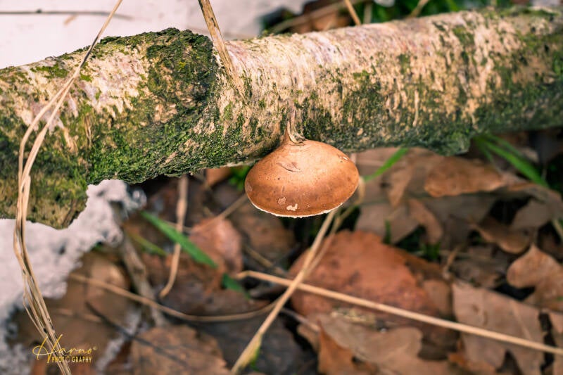 leersumsheveld-20-standard.jpg