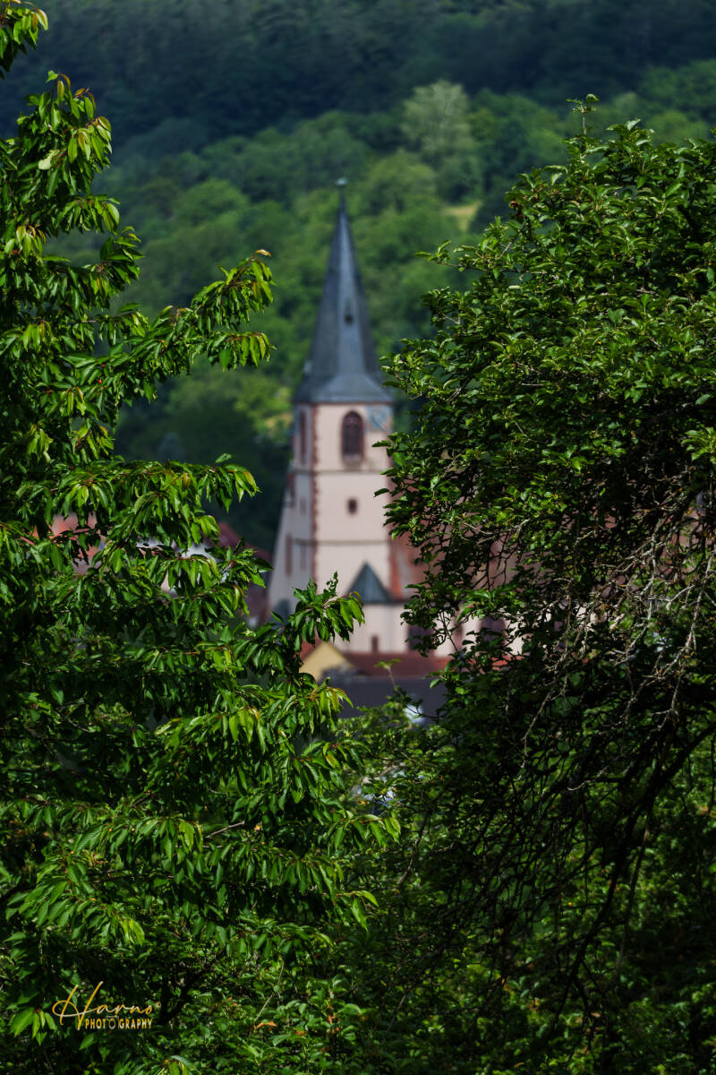 untitled-105-standard-qydl47.jpg