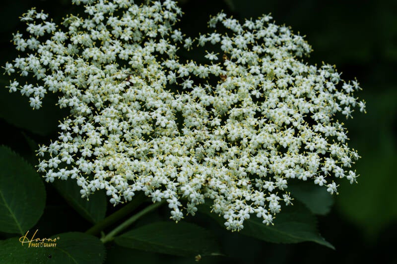 untitled-127-standard.jpg