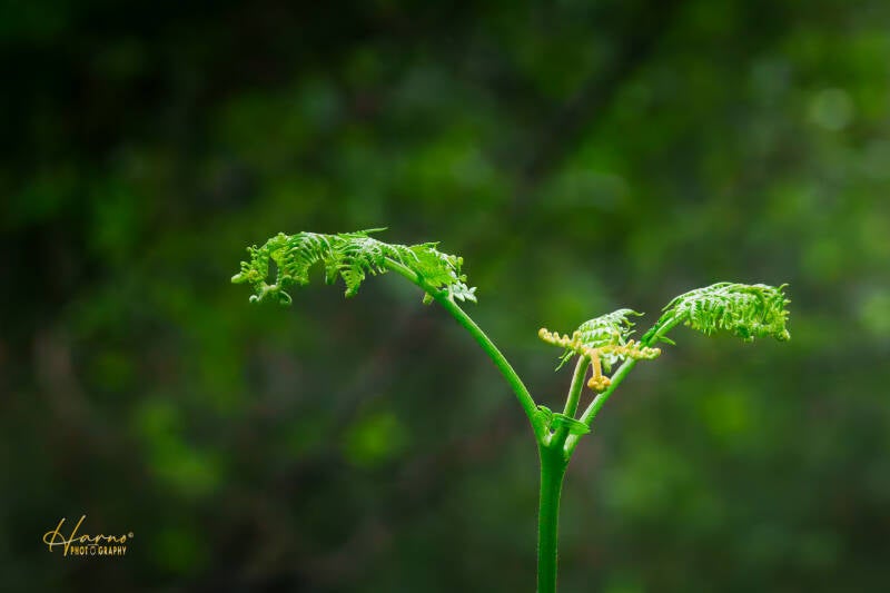 untitled-32-standard-4b48ag.jpg