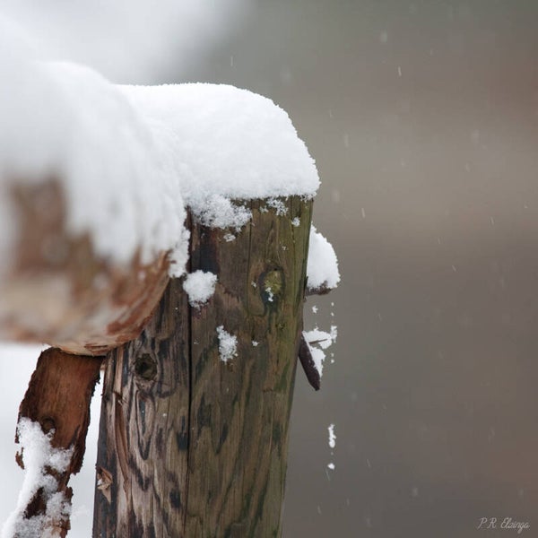 Snow #3