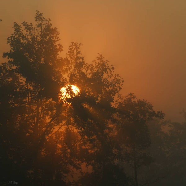 Sun #2
