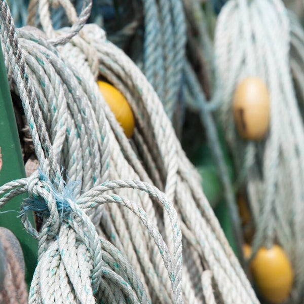 Rope #2