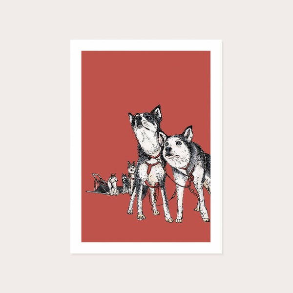 Kaart: husky's met hondenslee
