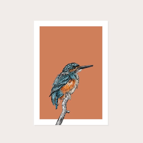 Kaart ijsvogel