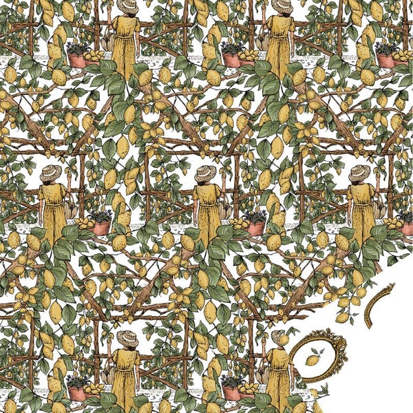 Kadopapier citroenen tuin