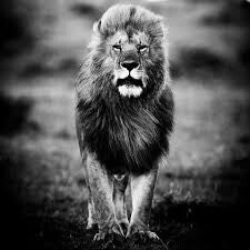 Dein Name im Abspann