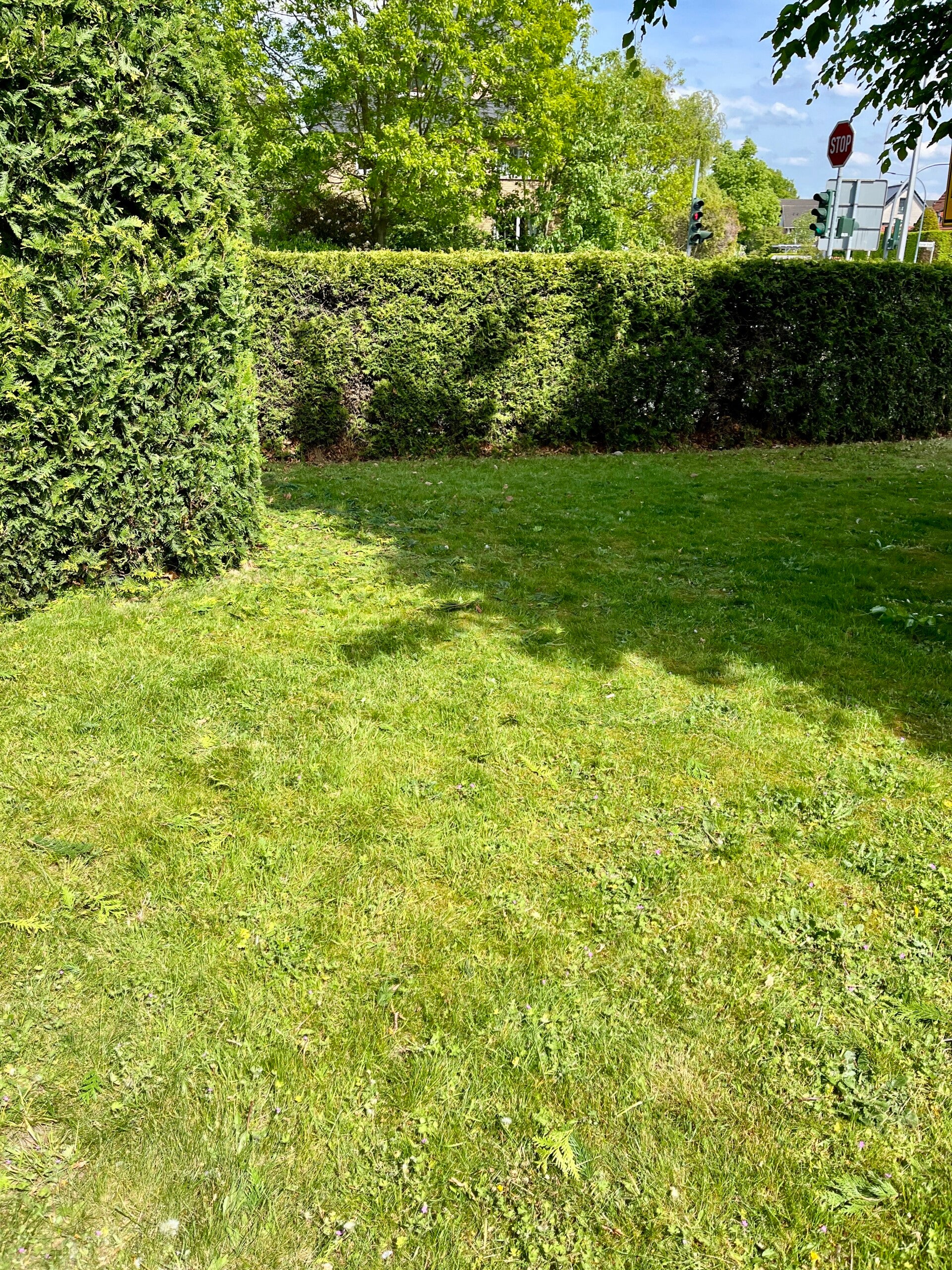 grundst-ckspflege-in-borken-1-standard.jpg