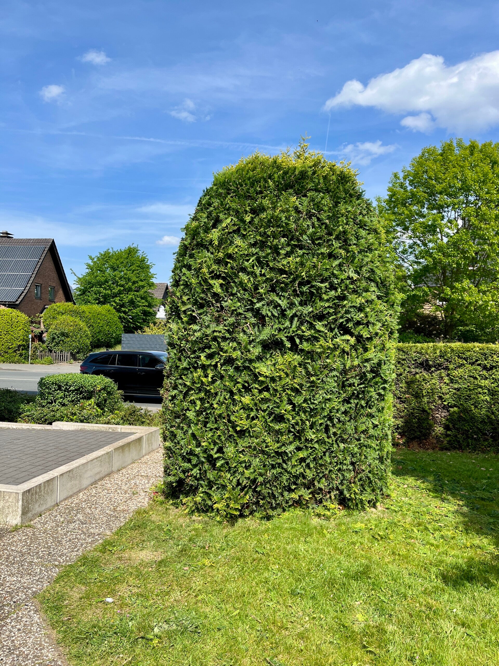 grundst-ckspflege-in-borken-2-standard-6bfmi7.jpg