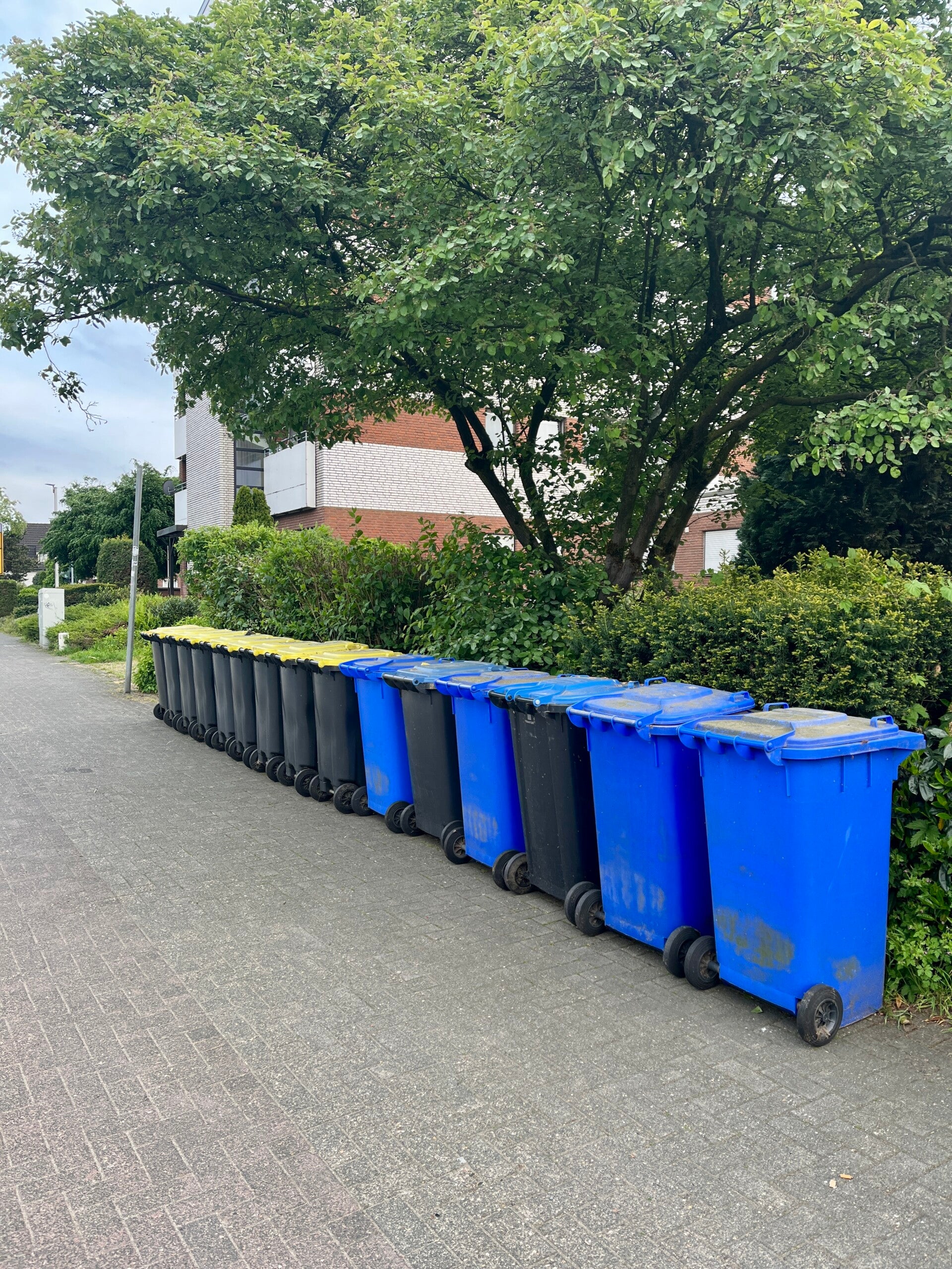 m-lltonnenservice-in-borken-standard.jpg