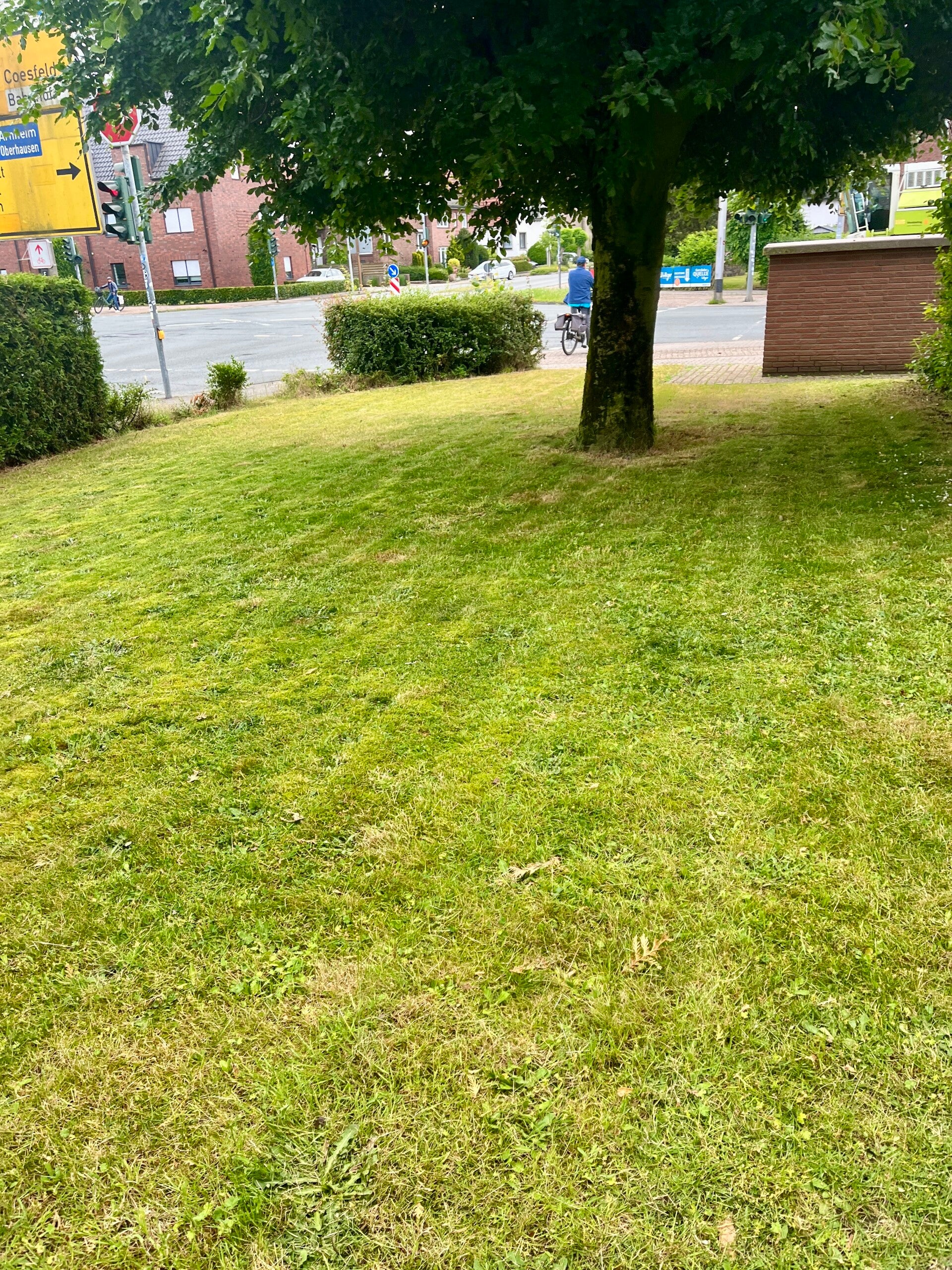 rasen-m-harbeiten-nordring-borken-standard.jpg