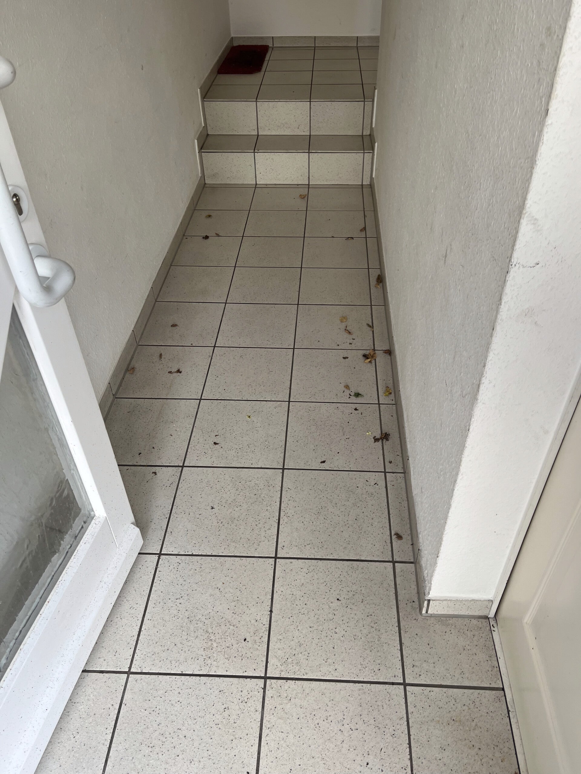 vorher-treppenhausreinigung-gescher-standard-leljkj.jpg