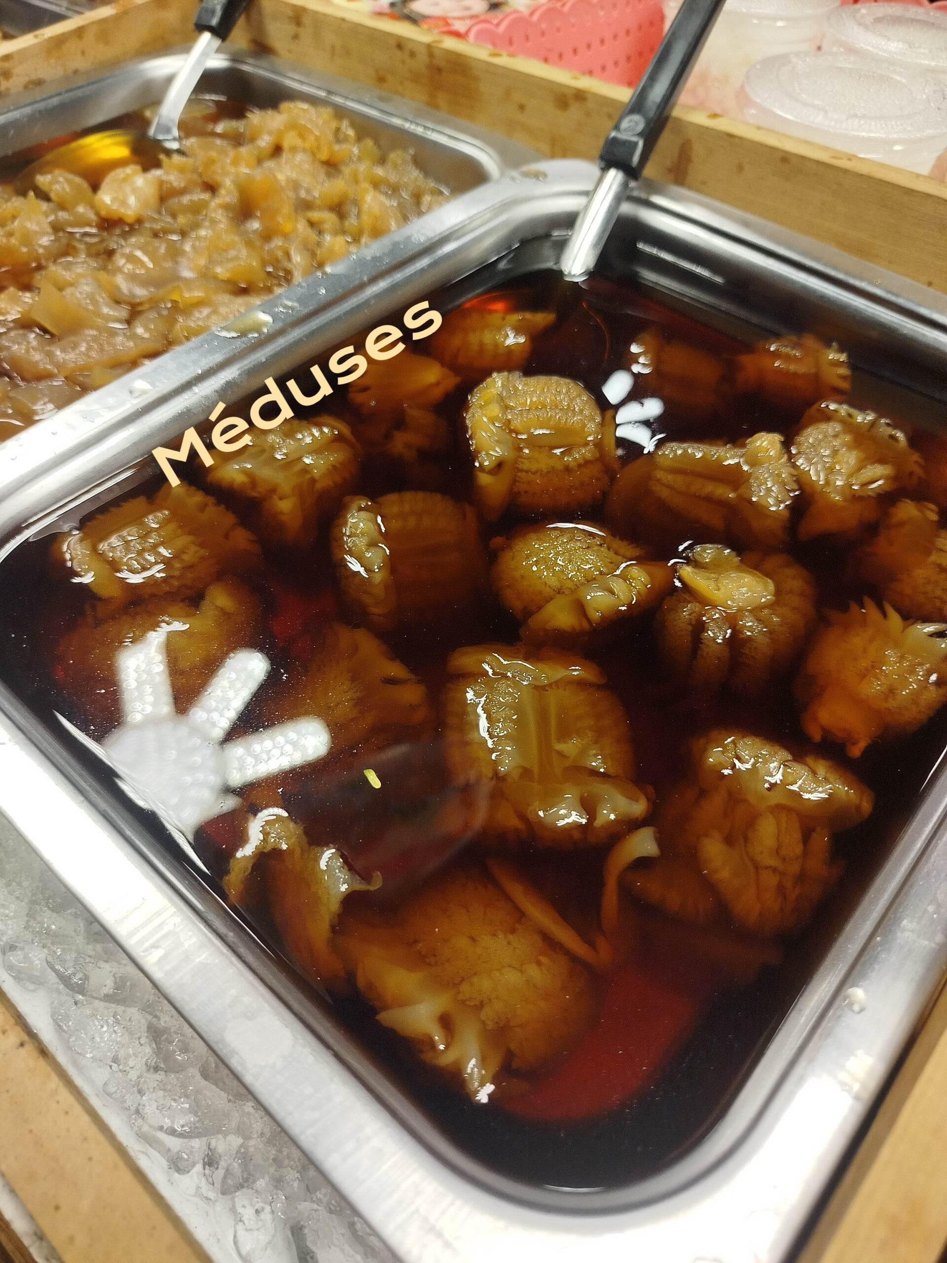 Méduses