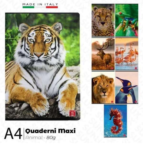 Pigna Quaderno Maxi 80gr A4 Quadretti 4mm Riquadrati