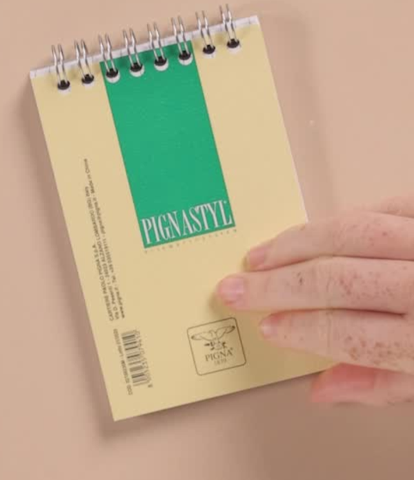 Pigna Pignastyl Taccuino Anelli Quadretti 5m