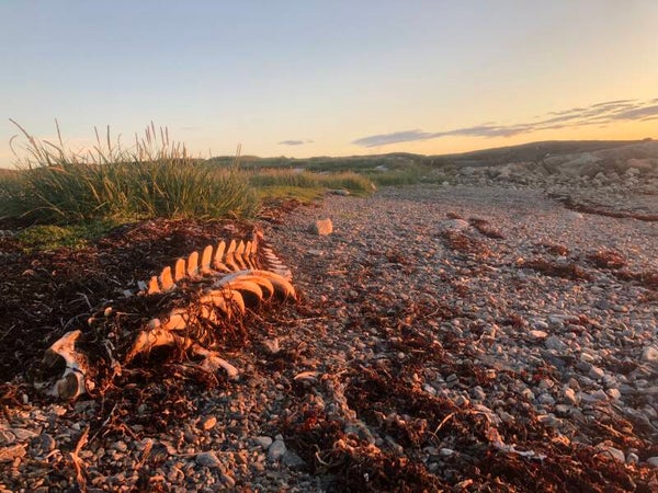Photographie Nunavik