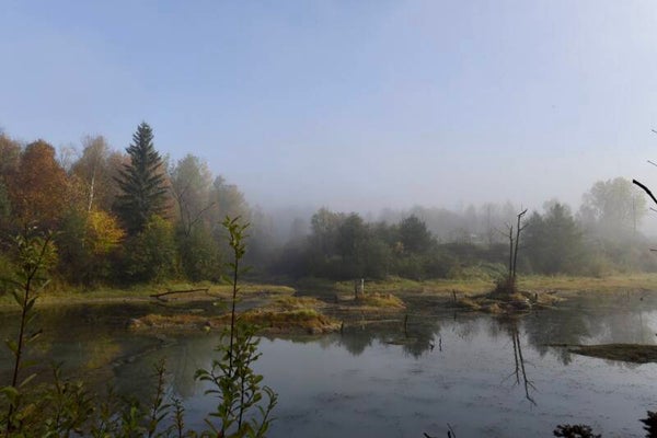 Paysage matinal