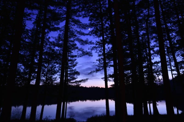 Entre jours et nuits