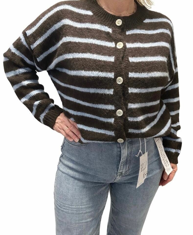 Gestreept vest bruin-blauw