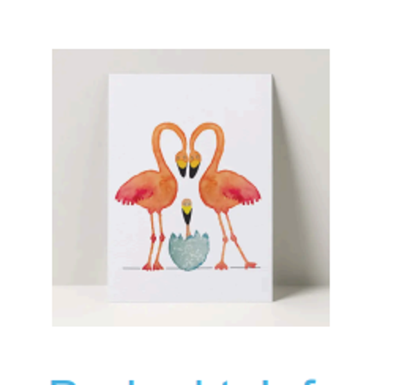 Geboortekaart Familie flamingo