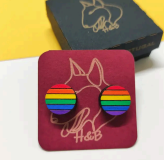 Houten kleurrijke regenboogrondjes