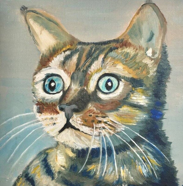 Le chat surpris