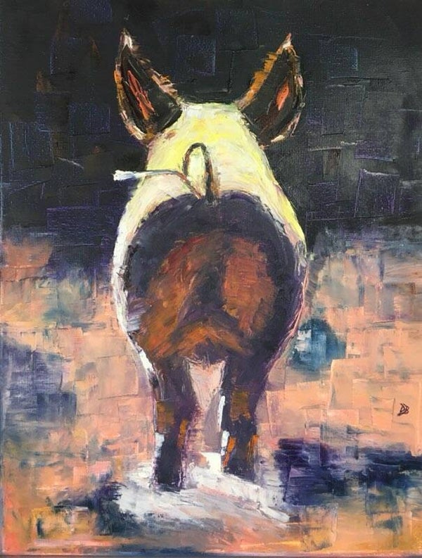 Le dos du cochon