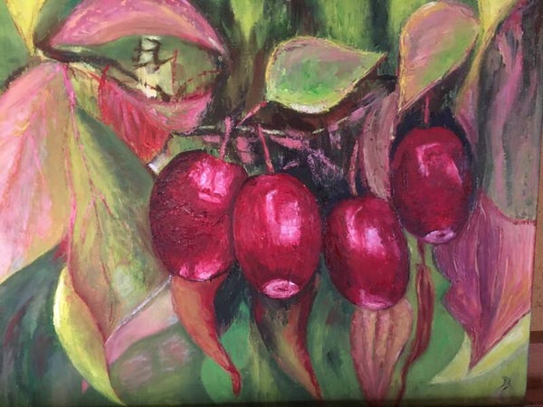 Fruits du cornouiller
