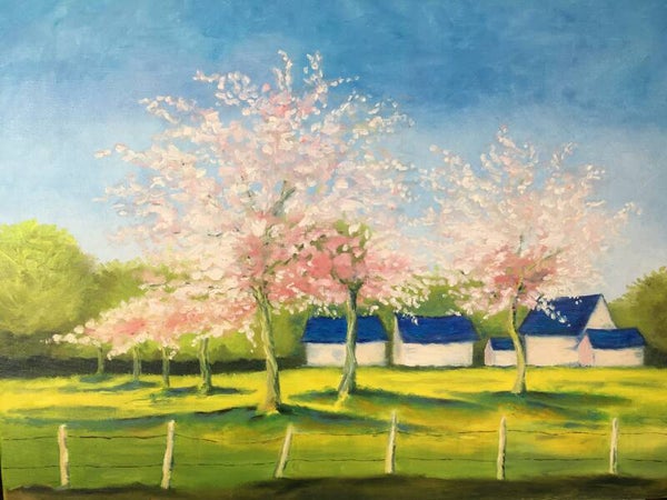 Cerisiers au printemps