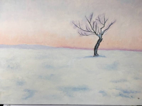 Énigme de neige