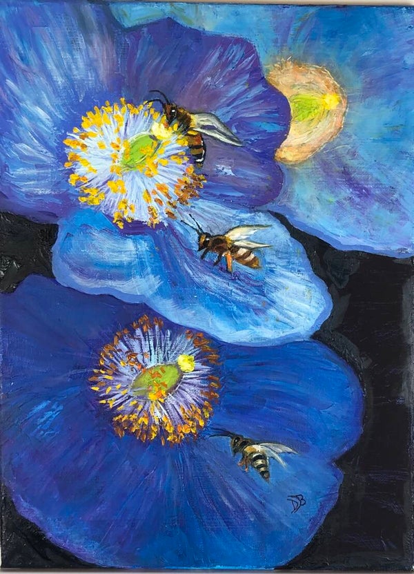 Les abeilles butinent