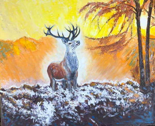 Rencontre avec le vieux cerf