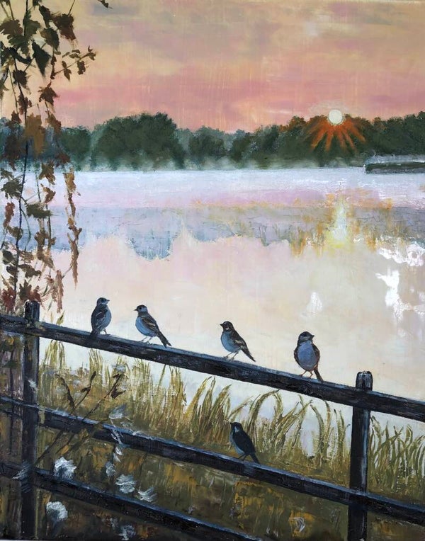 Les oiseaux du lac