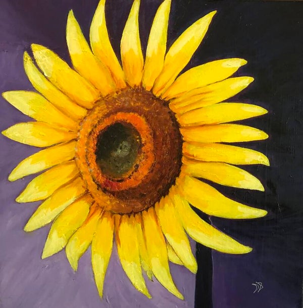 Le tournesol